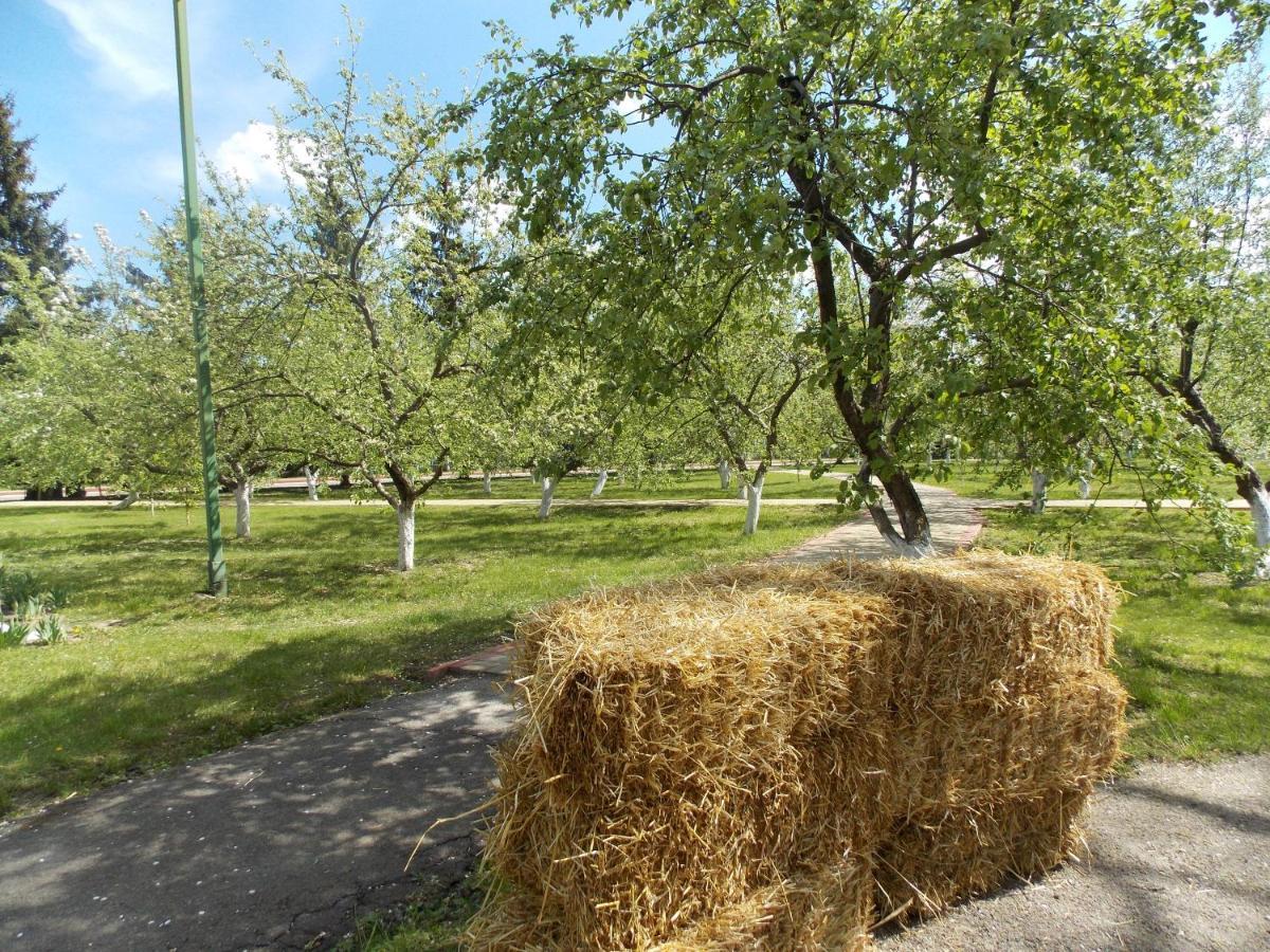 Dibrova Bila Tserkva Exterior photo